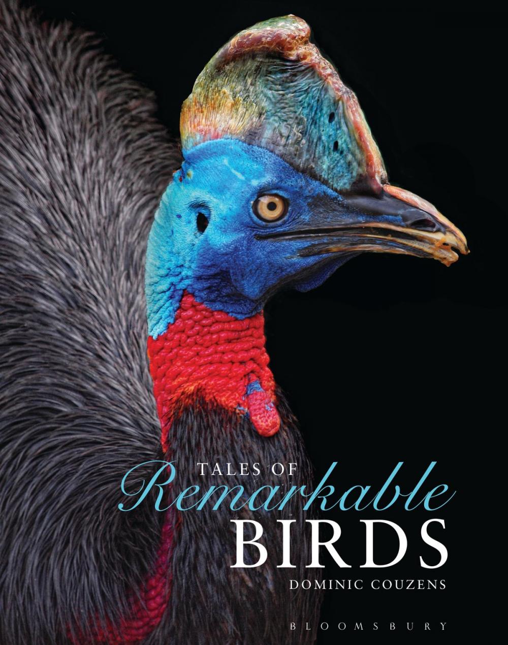 Big bigCover of Tales of Remarkable Birds