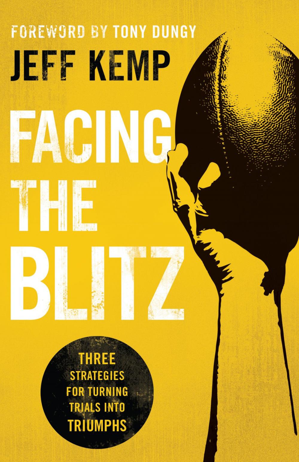 Big bigCover of Facing the Blitz