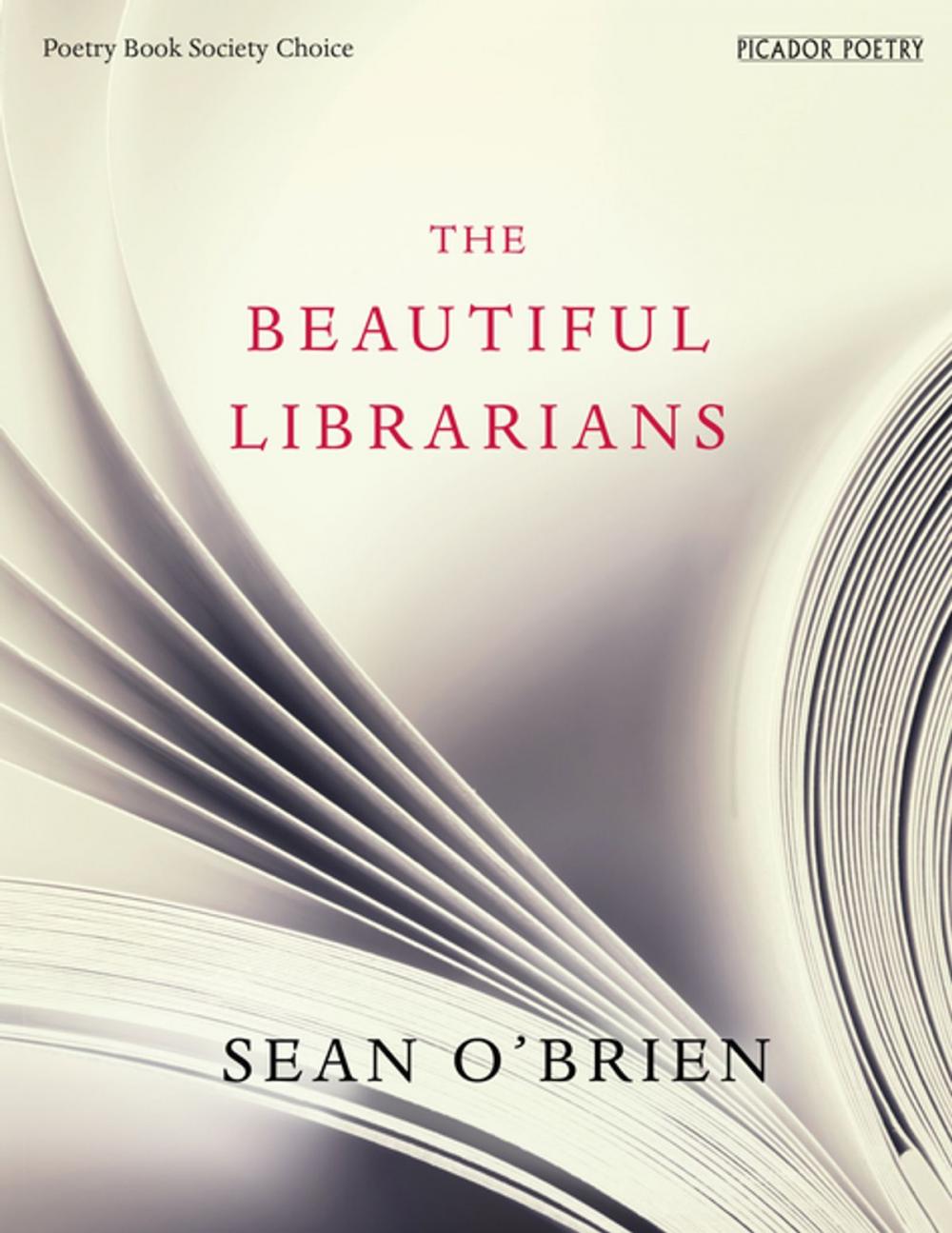 Big bigCover of The Beautiful Librarians