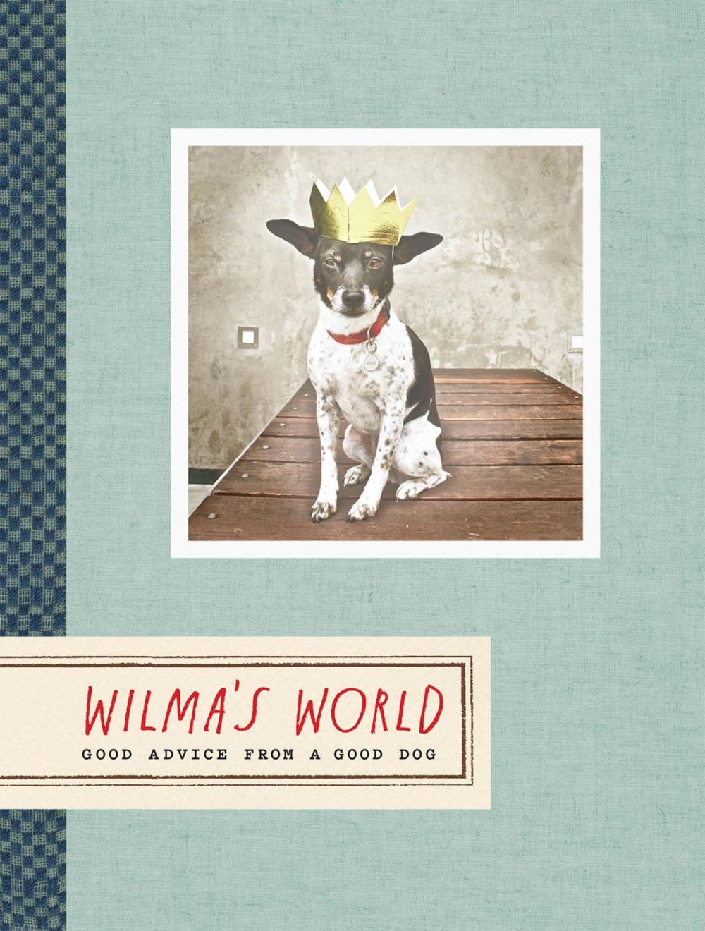 Big bigCover of Wilma's World