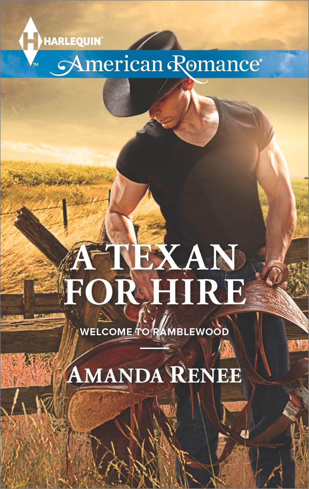 Big bigCover of A Texan for Hire