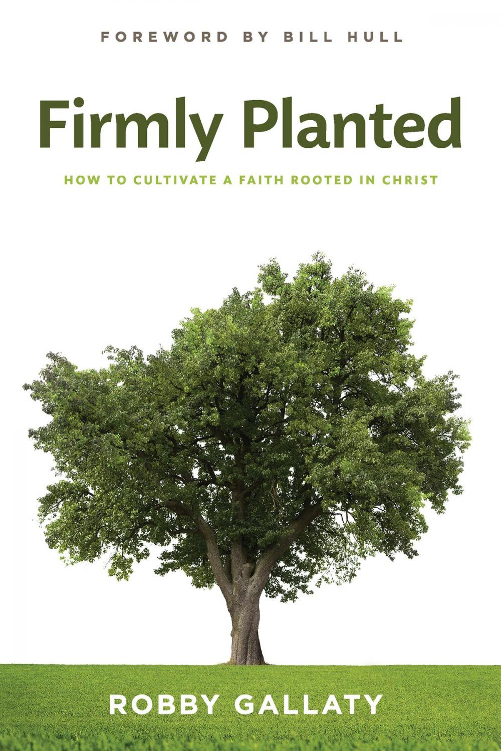 Big bigCover of Firmly Planted