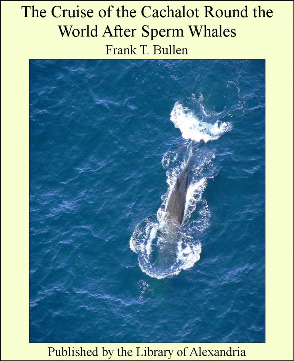 Big bigCover of The Cruise of the Cachalot Round the World After Sperm Whales