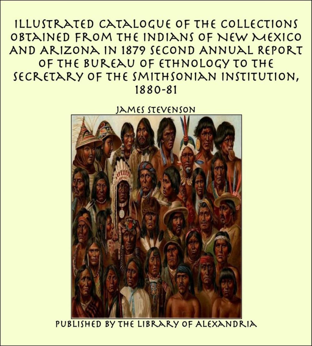 Big bigCover of Illustrated Catalogue of The Collections Obtained From The Indians of New Mexico And Arizona In 1879 Second Annual Report of the Bureau of Ethnology to the Secretary of the Smithsonian Institution, 1880-81