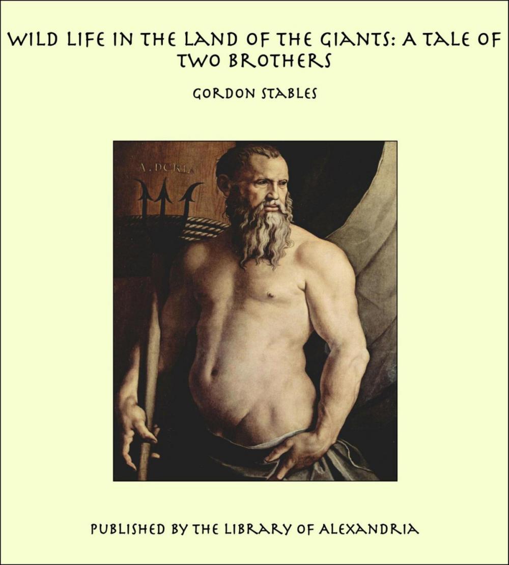 Big bigCover of Wild Life in the Land of the Giants: A Tale of Two brothers