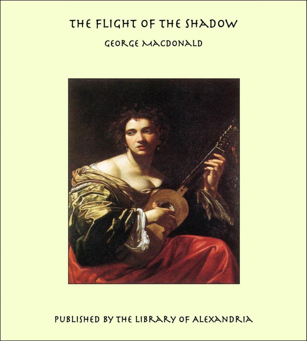 Big bigCover of The Flight of the Shadow