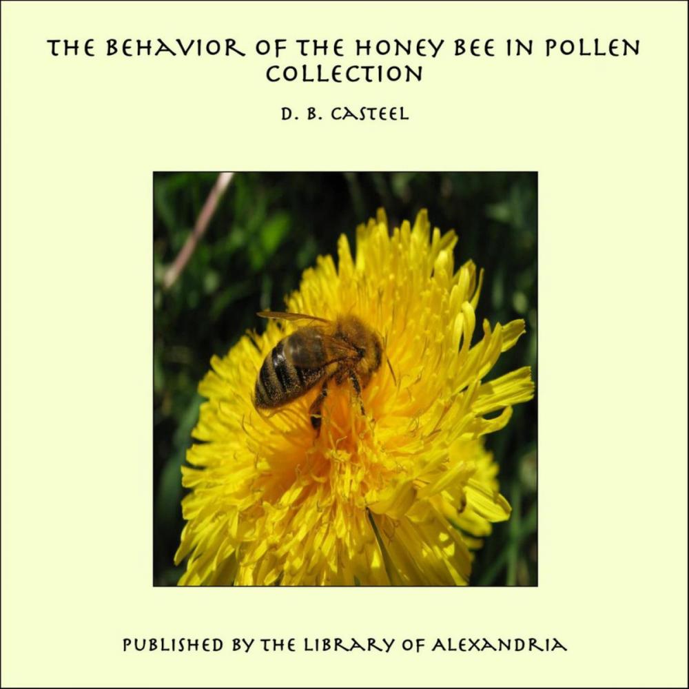 Big bigCover of The Behavior of the Honey Bee in Pollen Collection