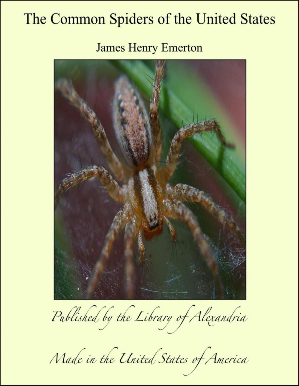 Big bigCover of The Common Spiders of the United States