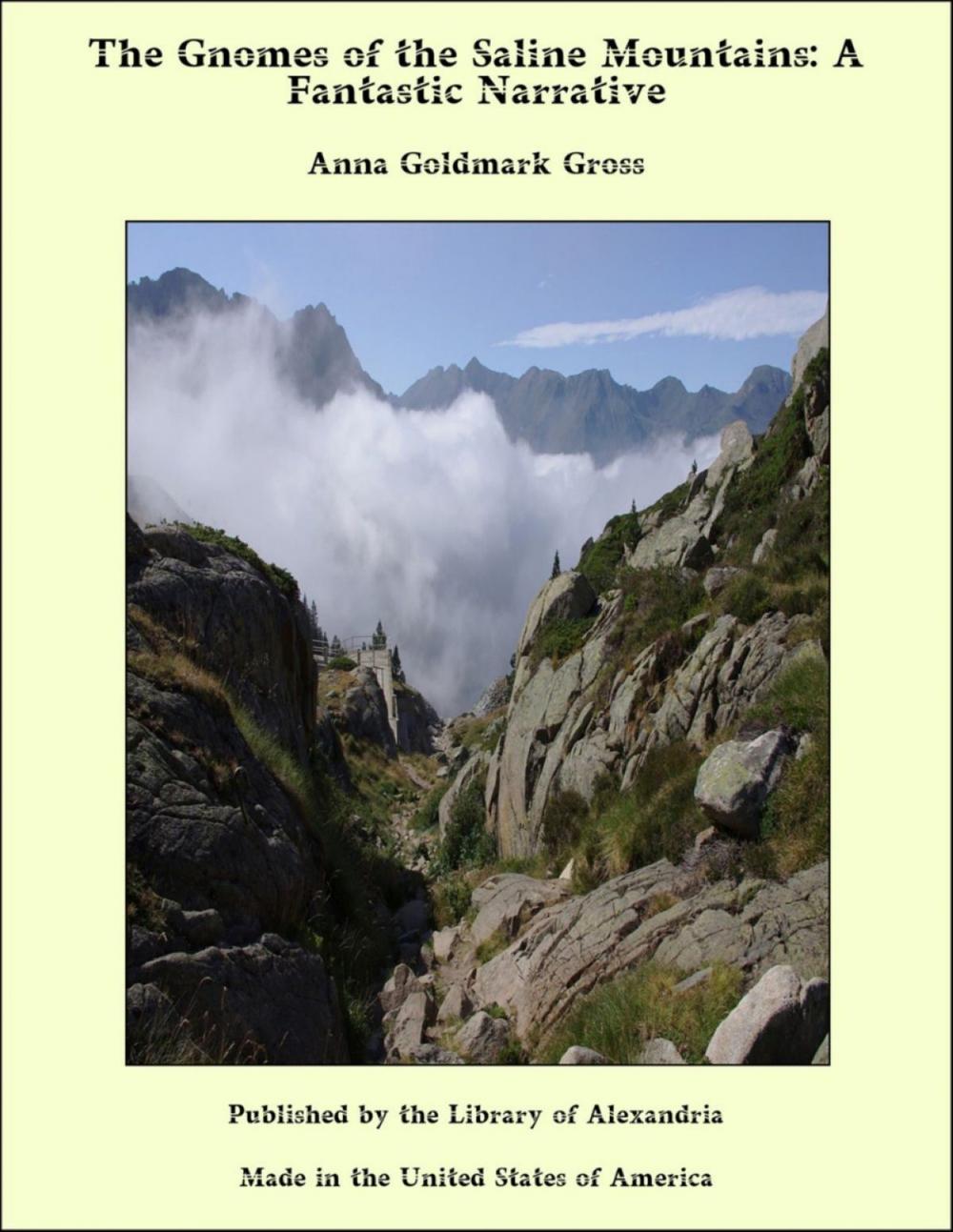 Big bigCover of The Gnomes of the Saline Mountains: A Fantastic Narrative