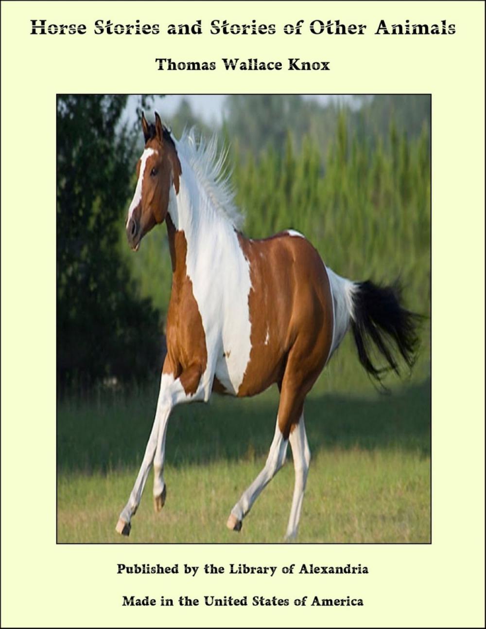 Big bigCover of Horse Stories and Stories of Other Animals: Experience of Two Boys in Managing Horses with Many Anecdotes of Quadrupedal Intelligence