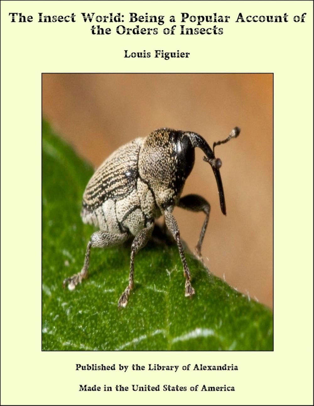 Big bigCover of The Insect World: Being a Popular Account of the Orders of Insects