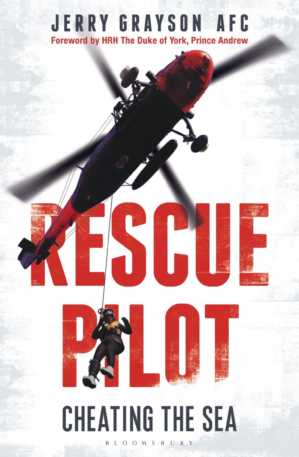 Big bigCover of Rescue Pilot