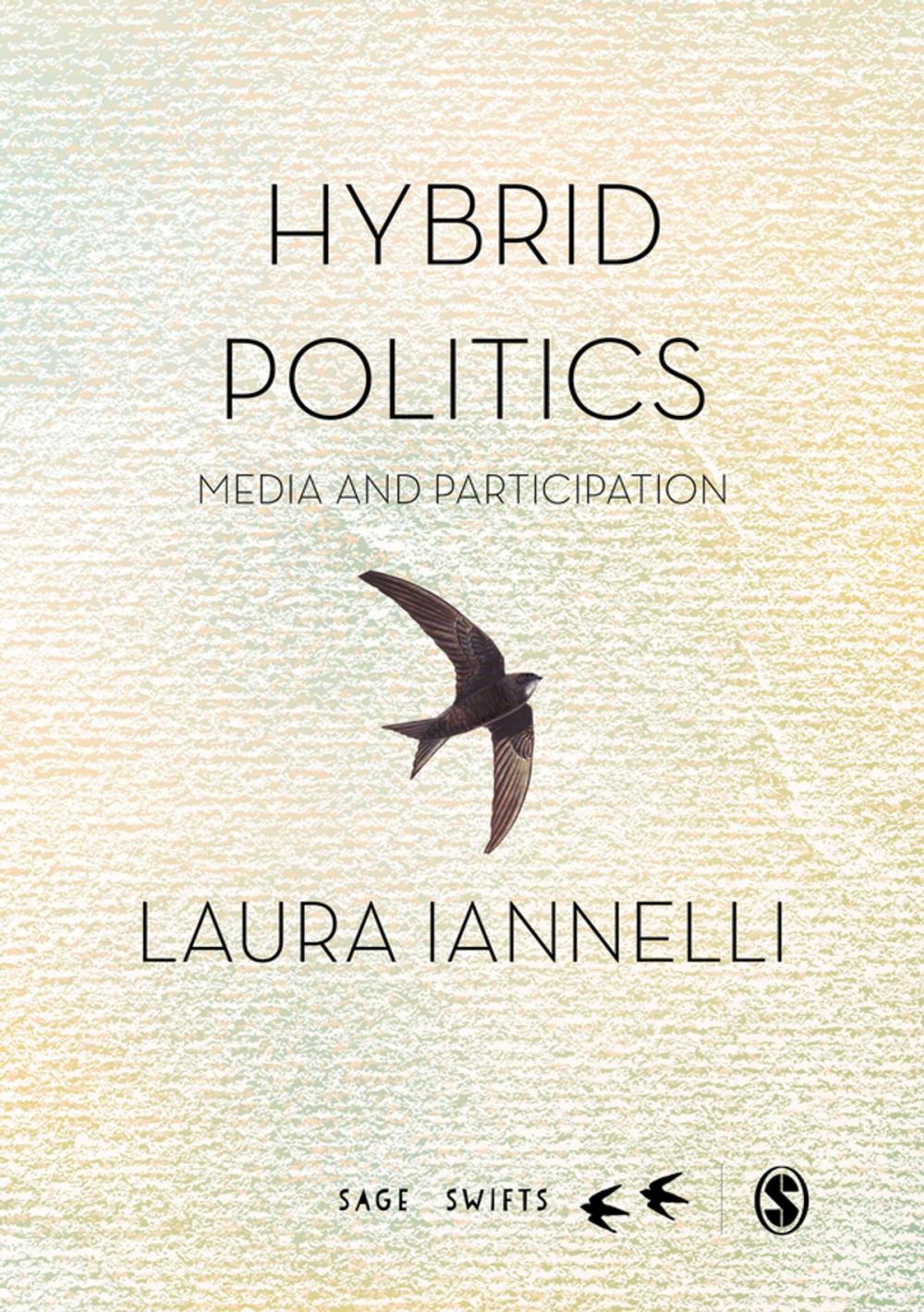 Big bigCover of Hybrid Politics