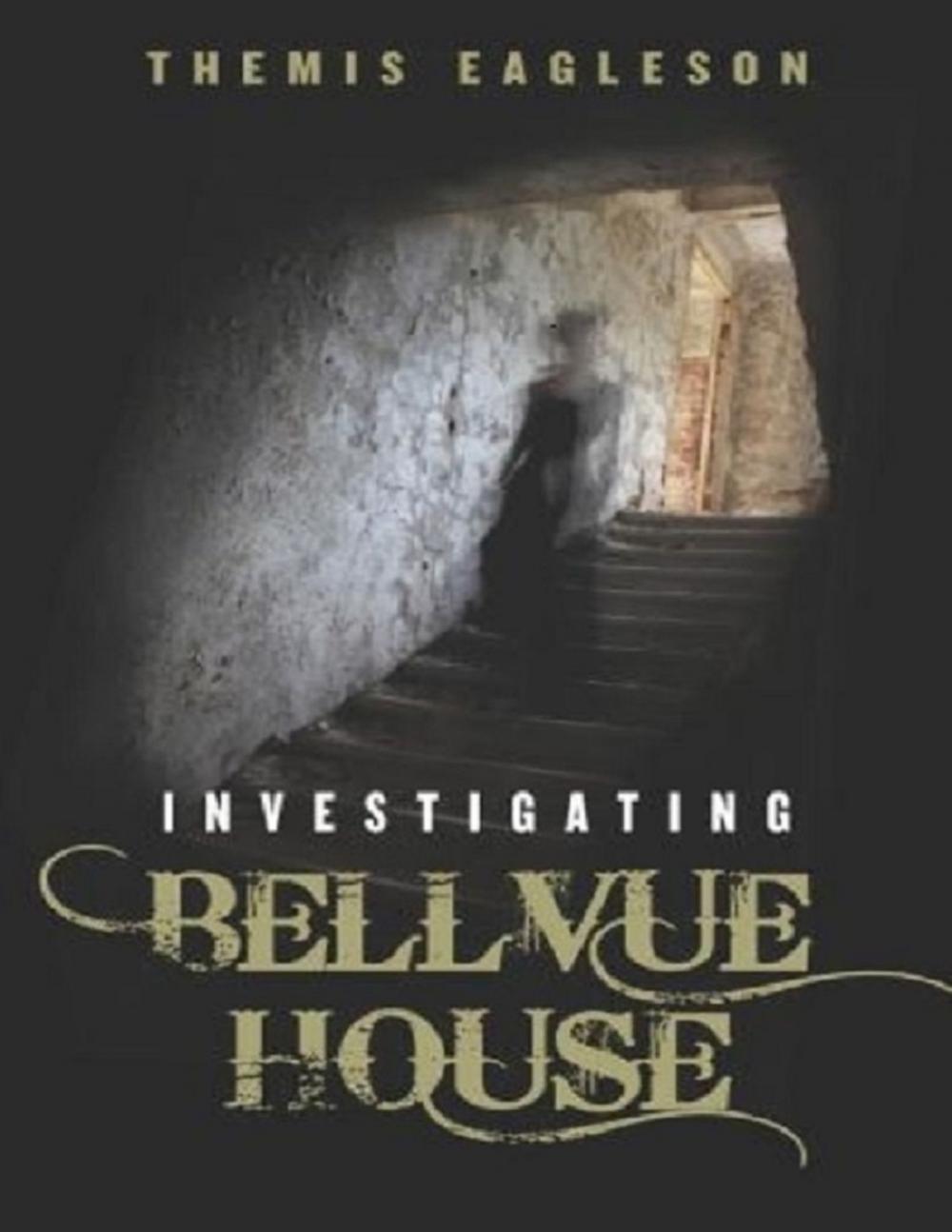 Big bigCover of Investigating Bellvue House