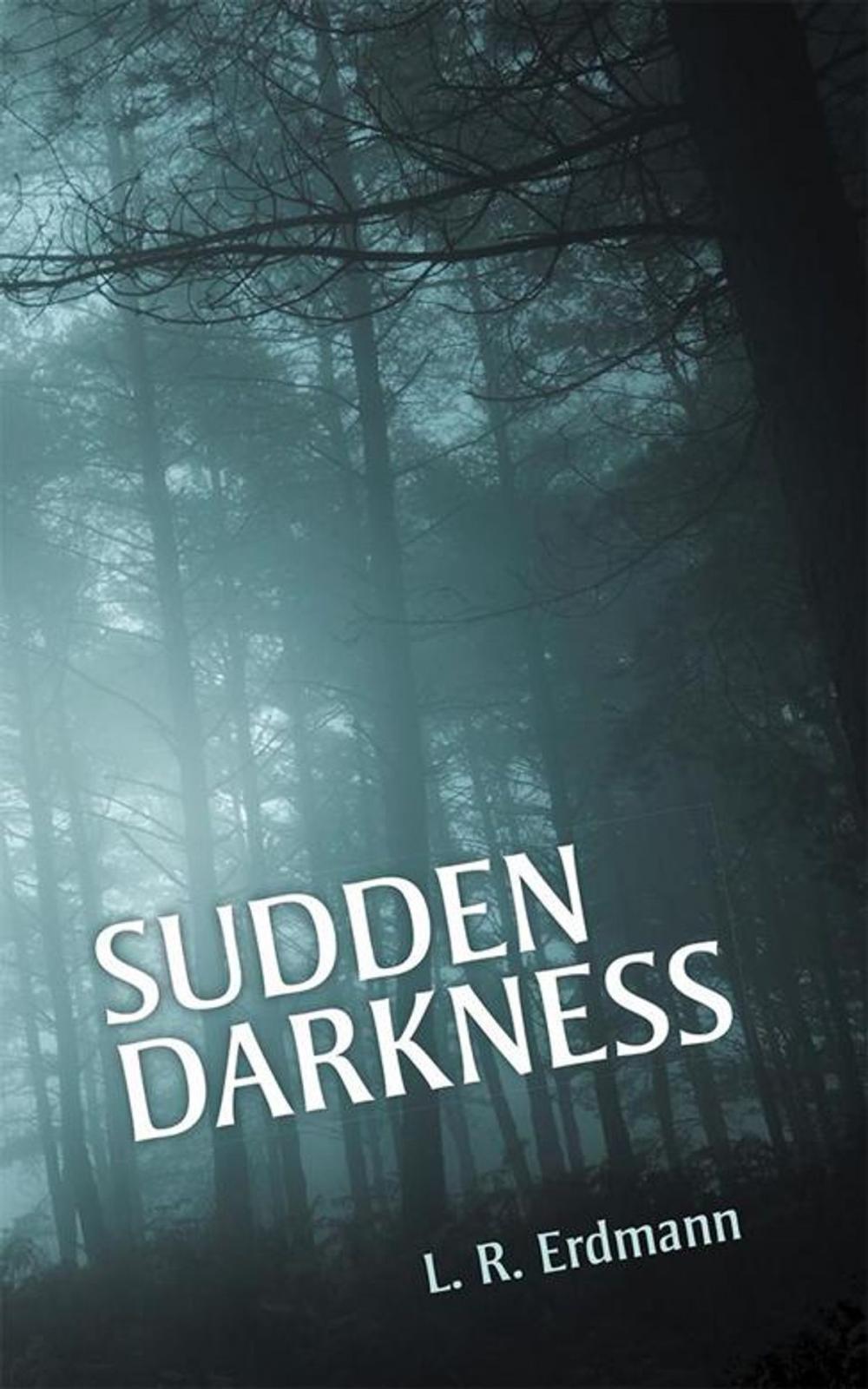 Big bigCover of Sudden Darkness