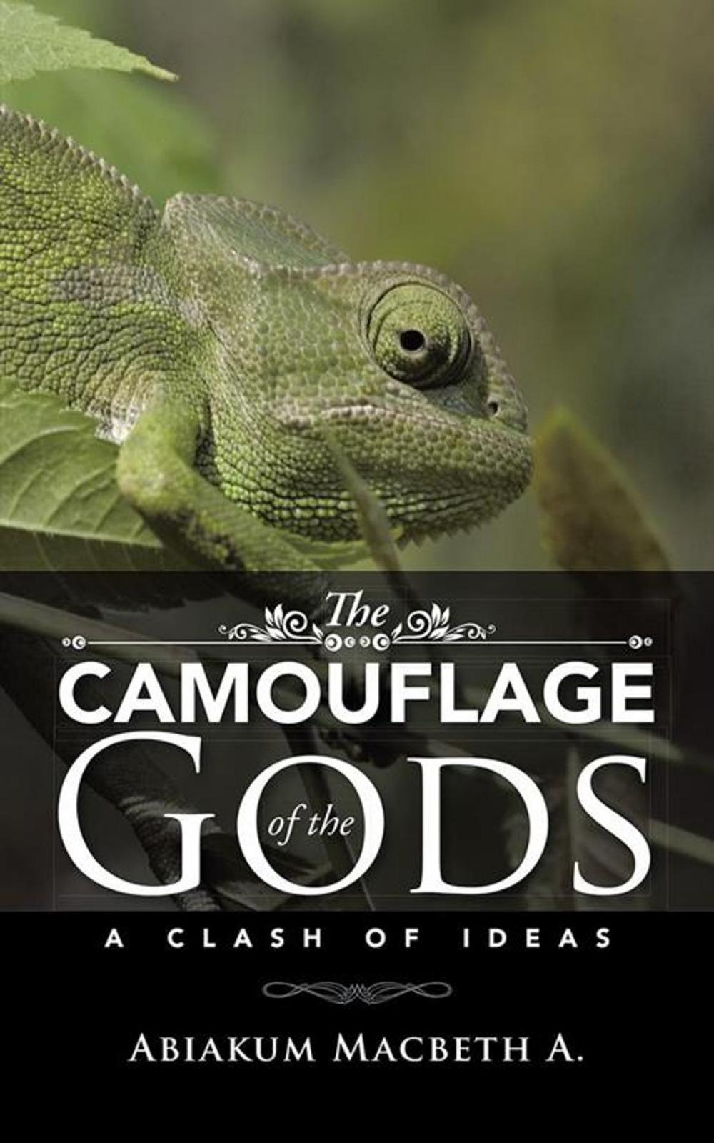 Big bigCover of The Camouflage of the Gods