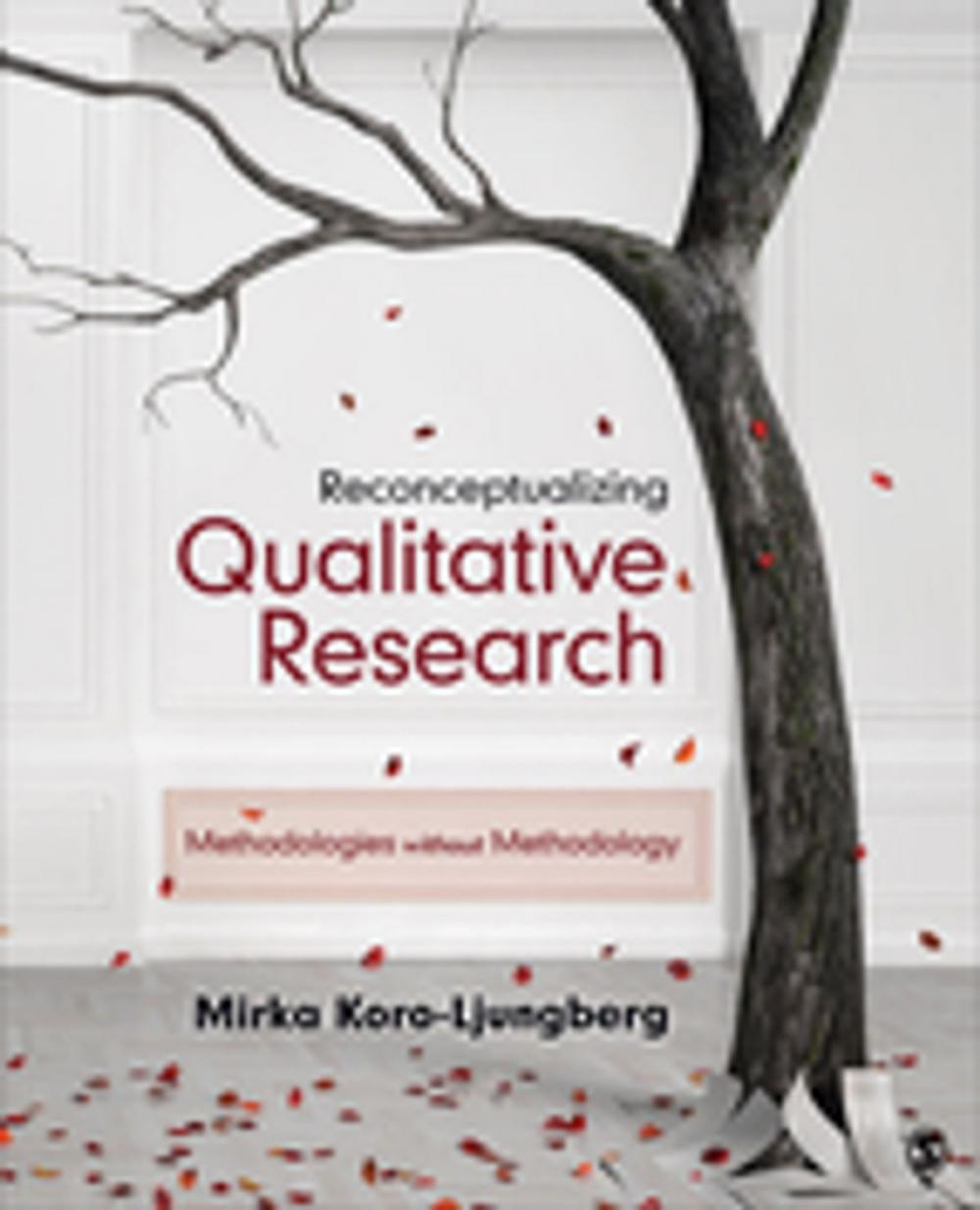 Big bigCover of Reconceptualizing Qualitative Research