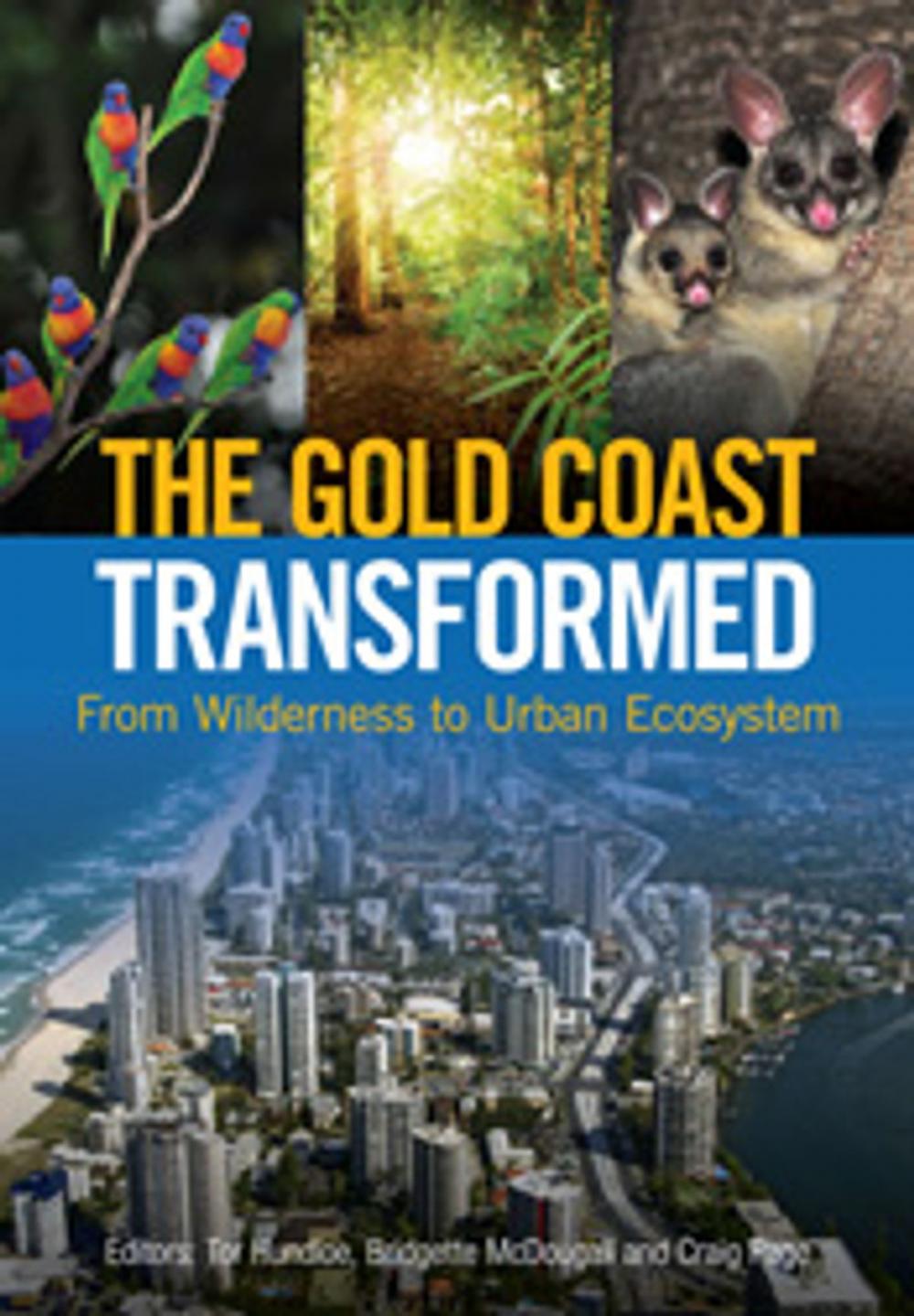 Big bigCover of The Gold Coast Transformed