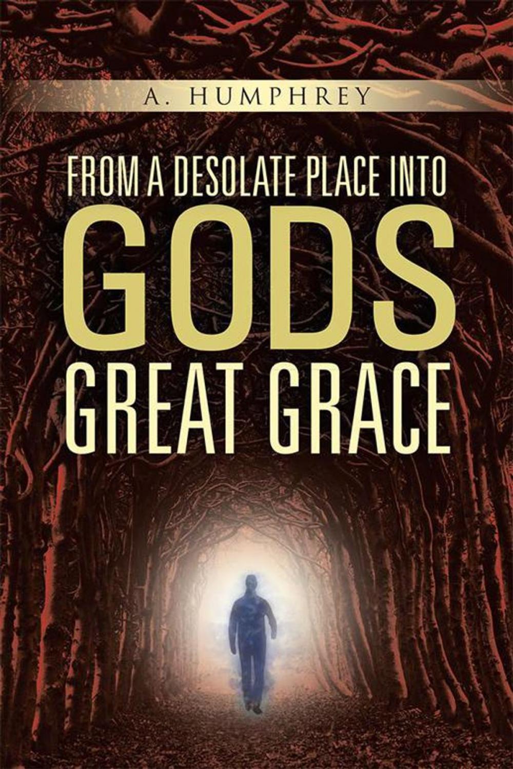 Big bigCover of From a Desolate Place into God's Great Grace