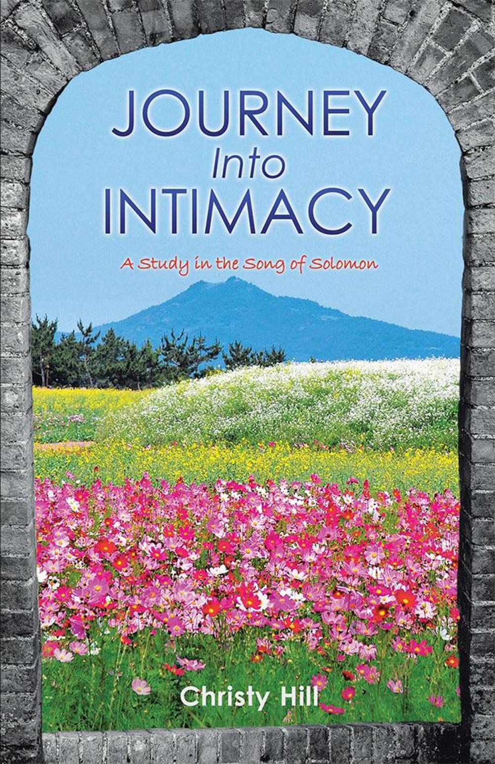 Big bigCover of Journey into Intimacy