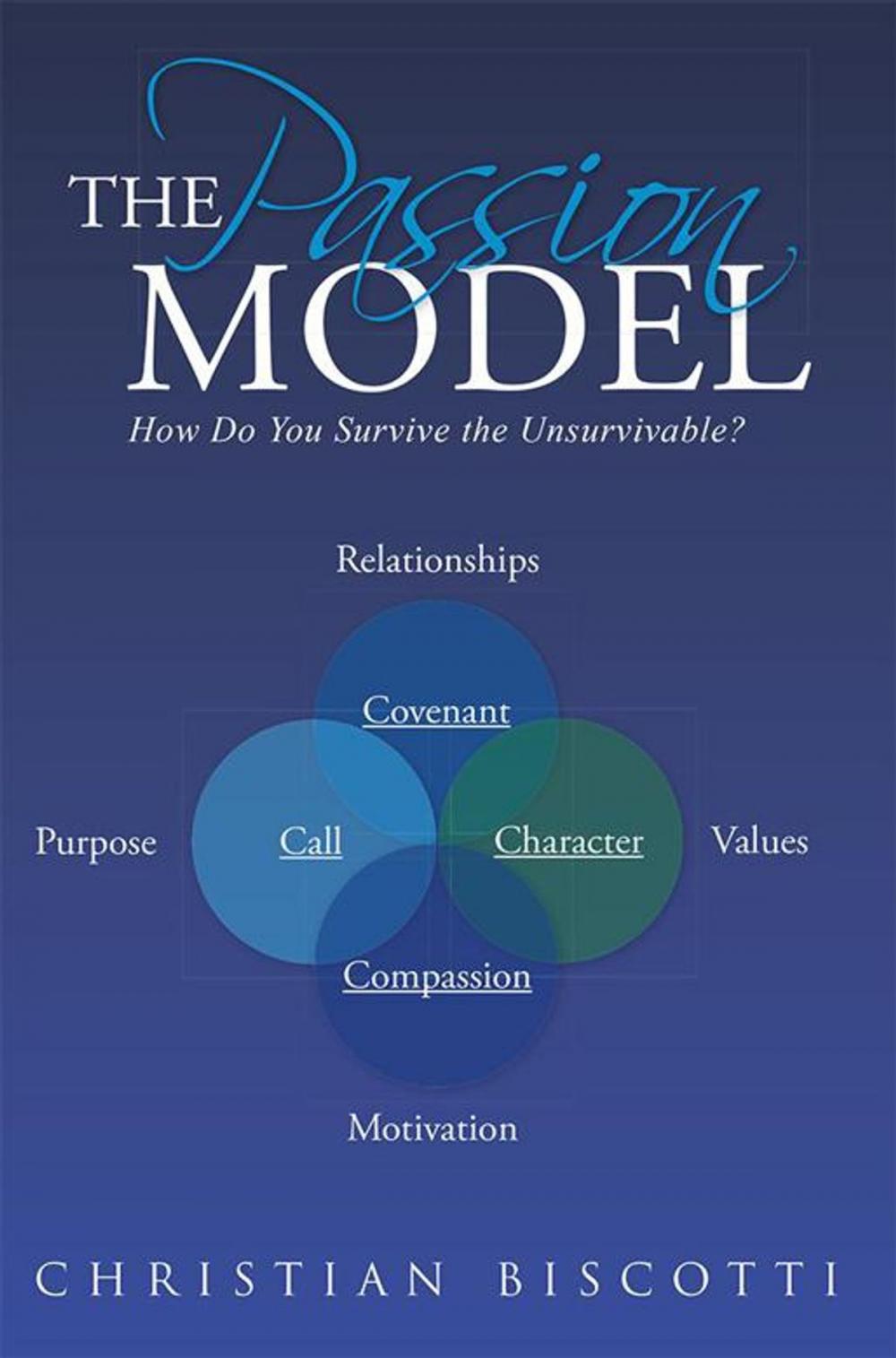 Big bigCover of The Passion Model