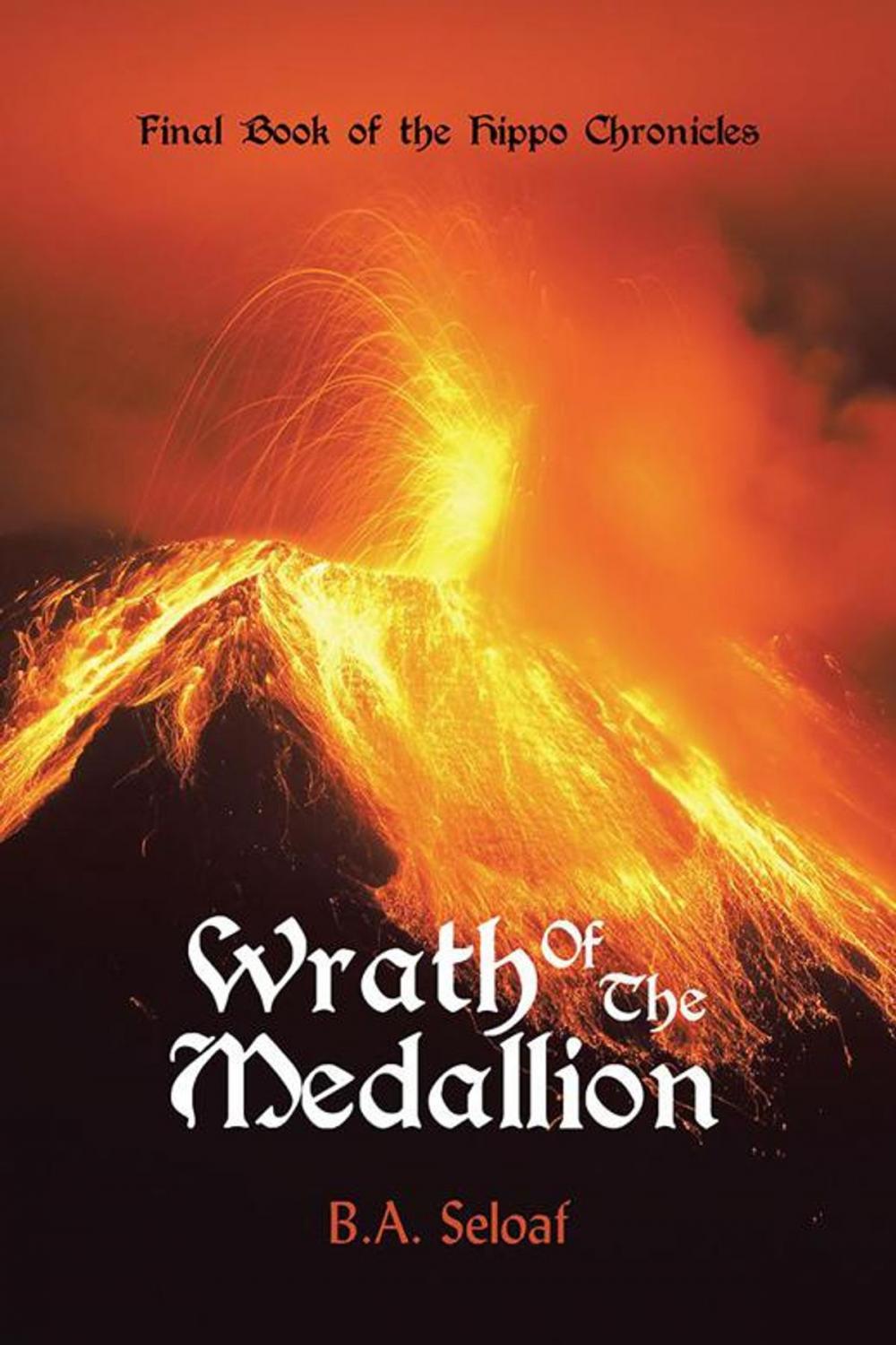 Big bigCover of Wrath of the Medallion