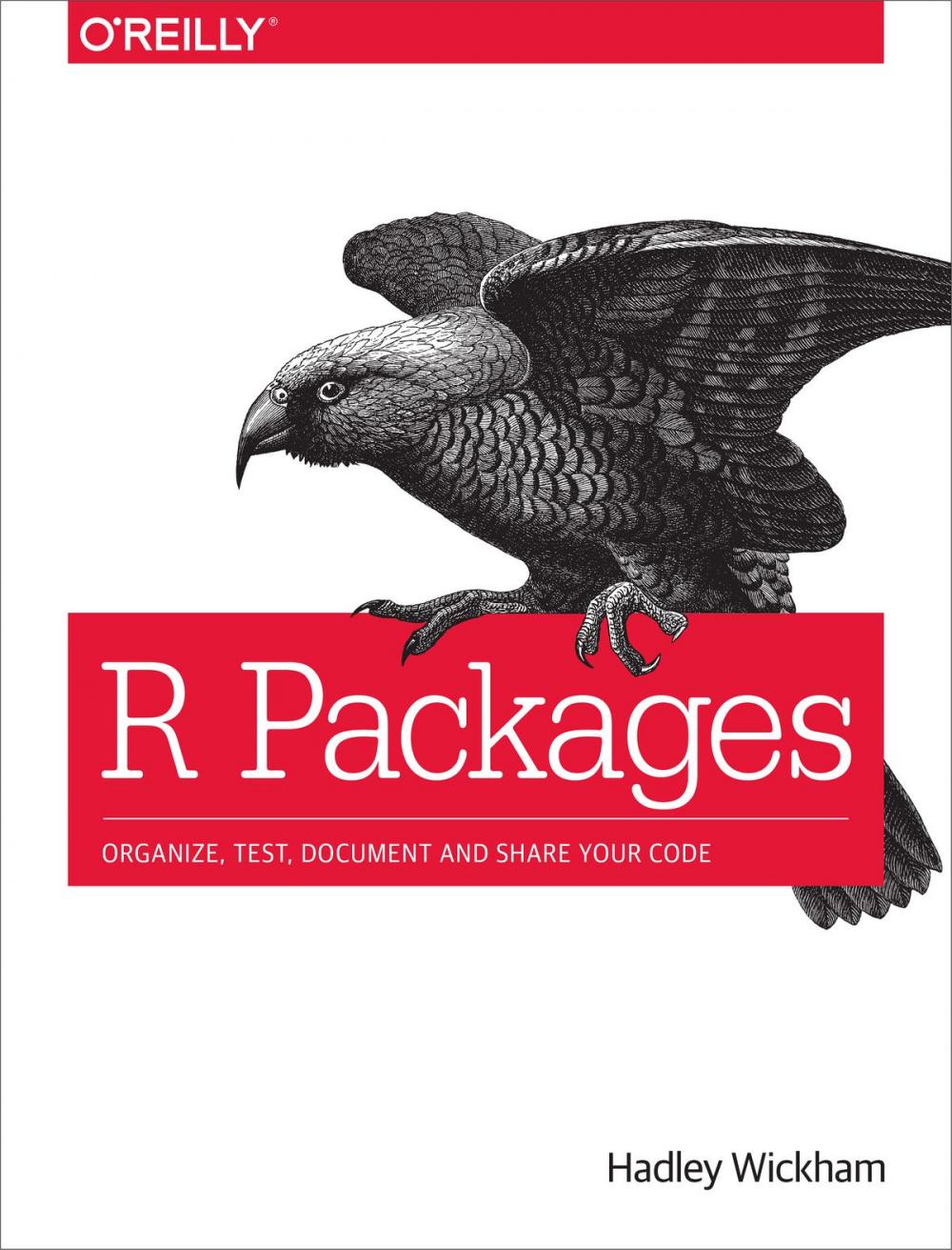 Big bigCover of R Packages