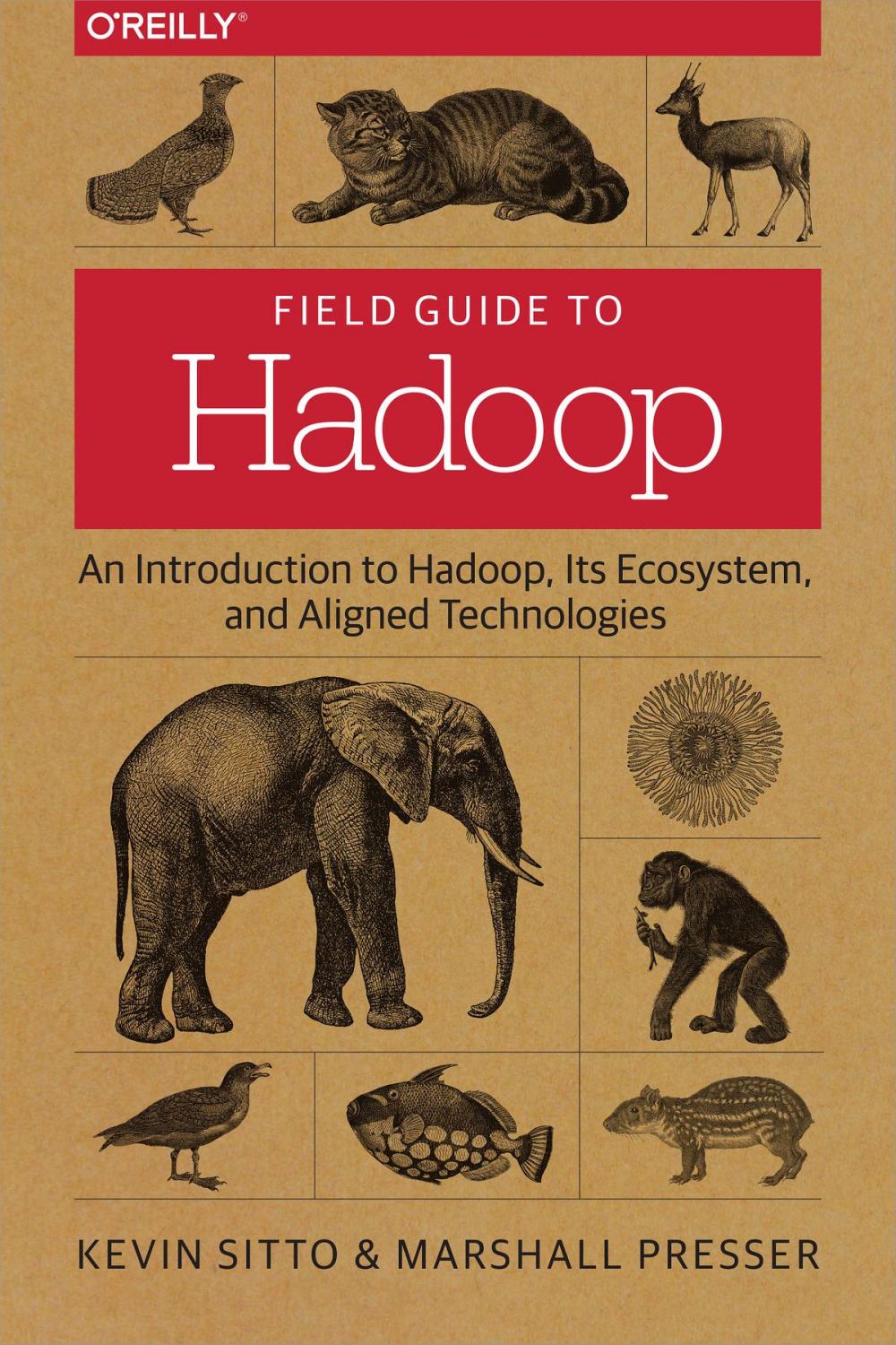 Big bigCover of Field Guide to Hadoop