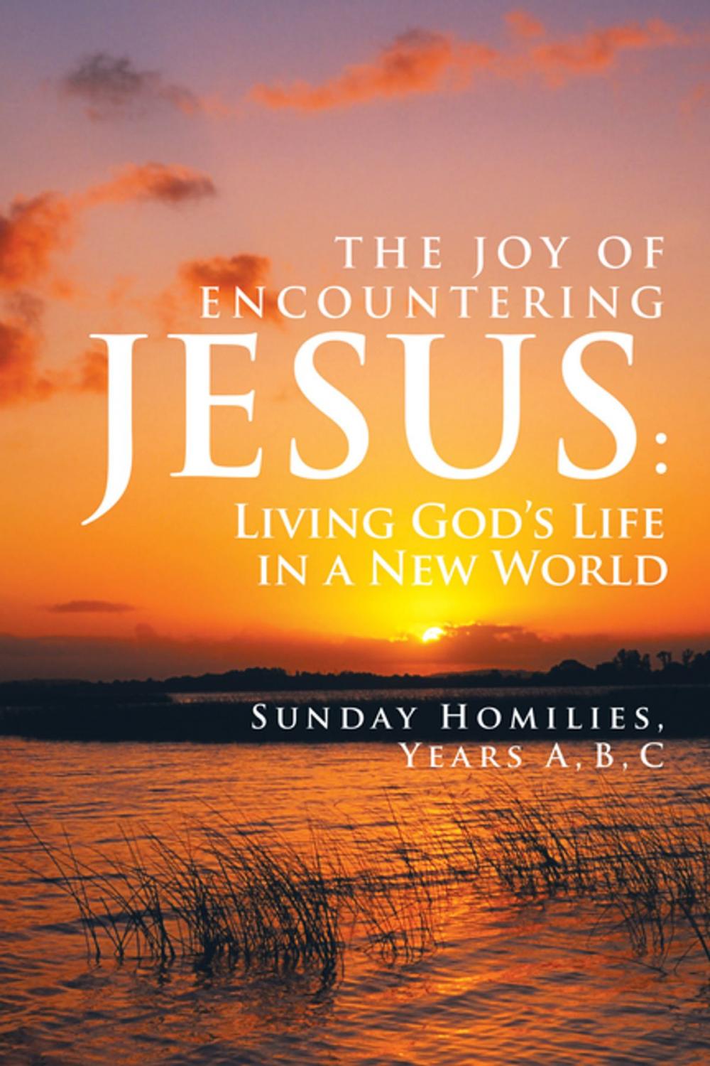 Big bigCover of The Joy of Encountering Jesus: