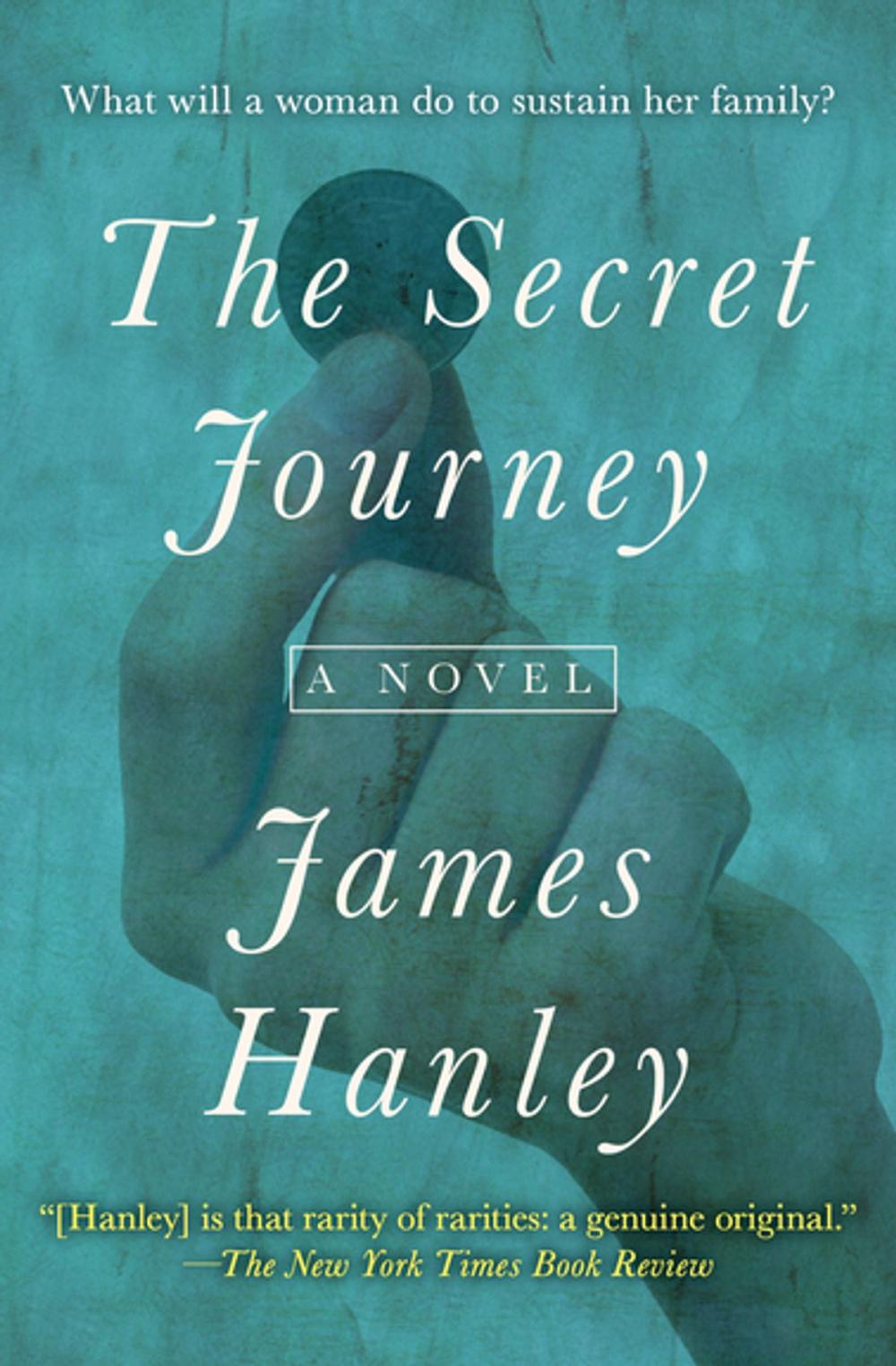 Big bigCover of The Secret Journey