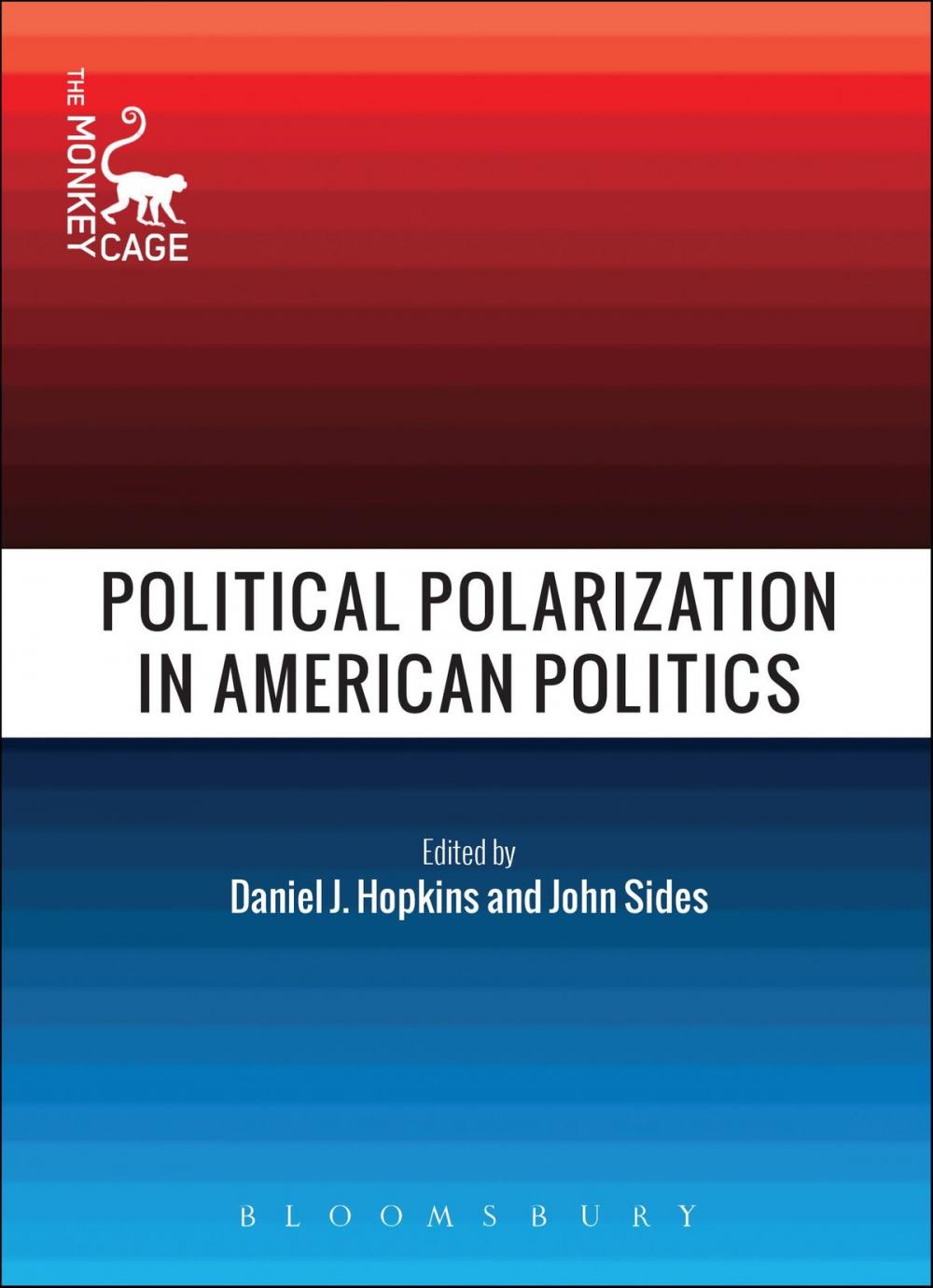 Big bigCover of Political Polarization in American Politics