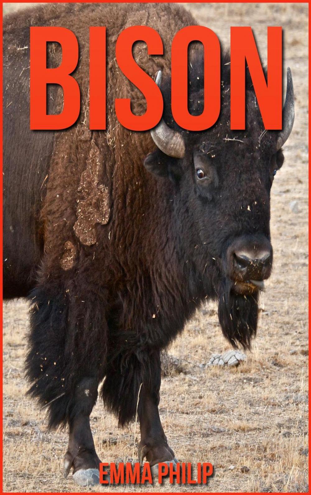 Big bigCover of Bison