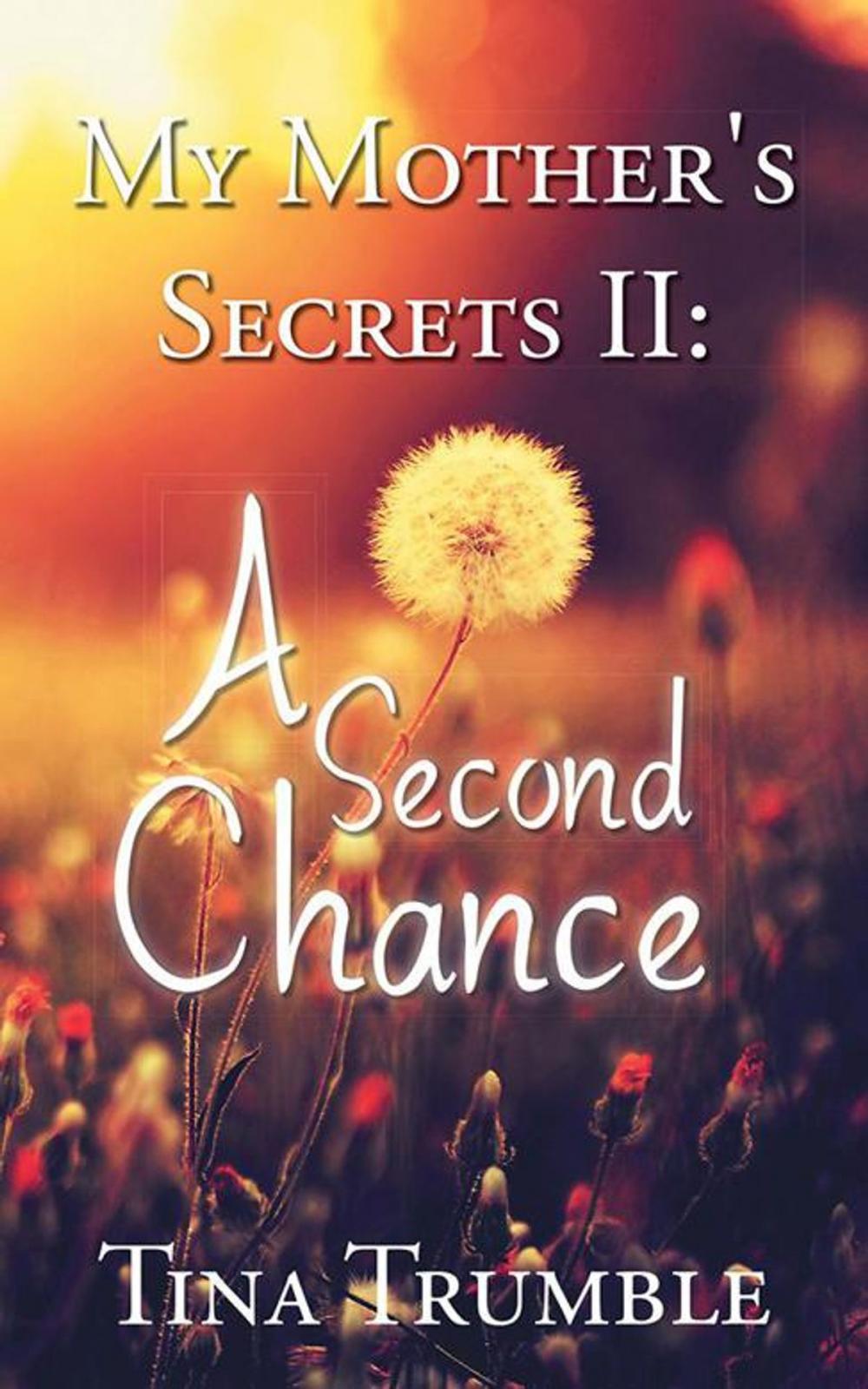 Big bigCover of My Mother's Secrets Ii: a Second Chance