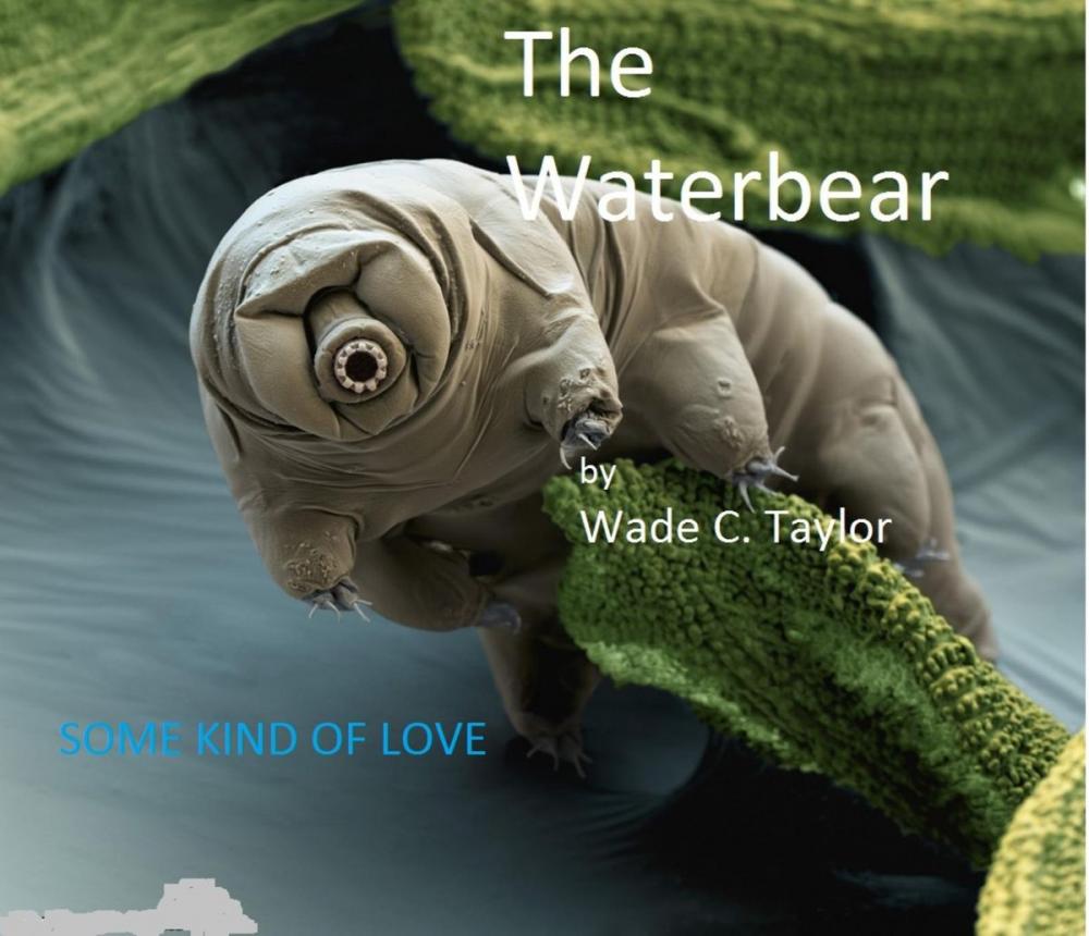 Big bigCover of The Waterbear