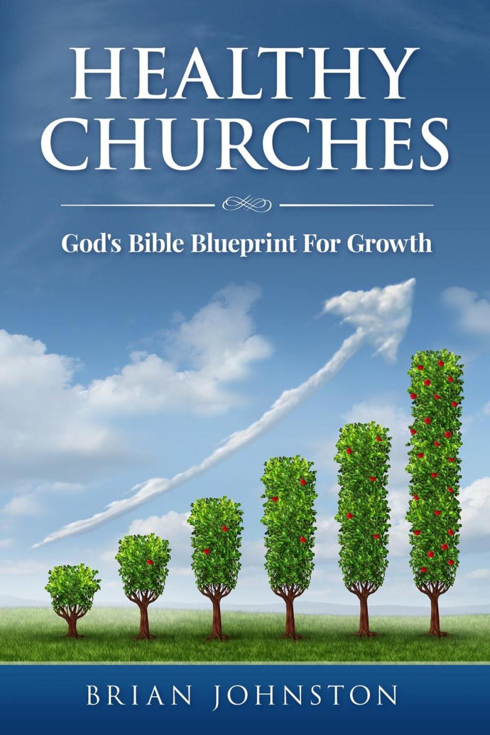 Big bigCover of Healthy Churches - God's Bible Blueprint For Growth