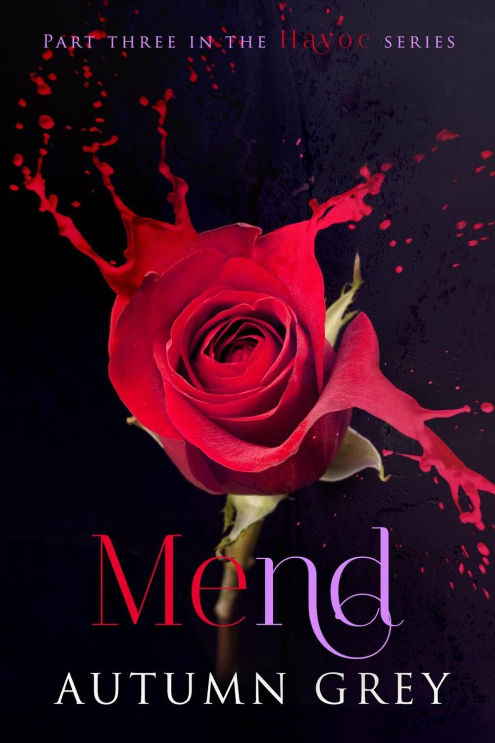 Big bigCover of Mend