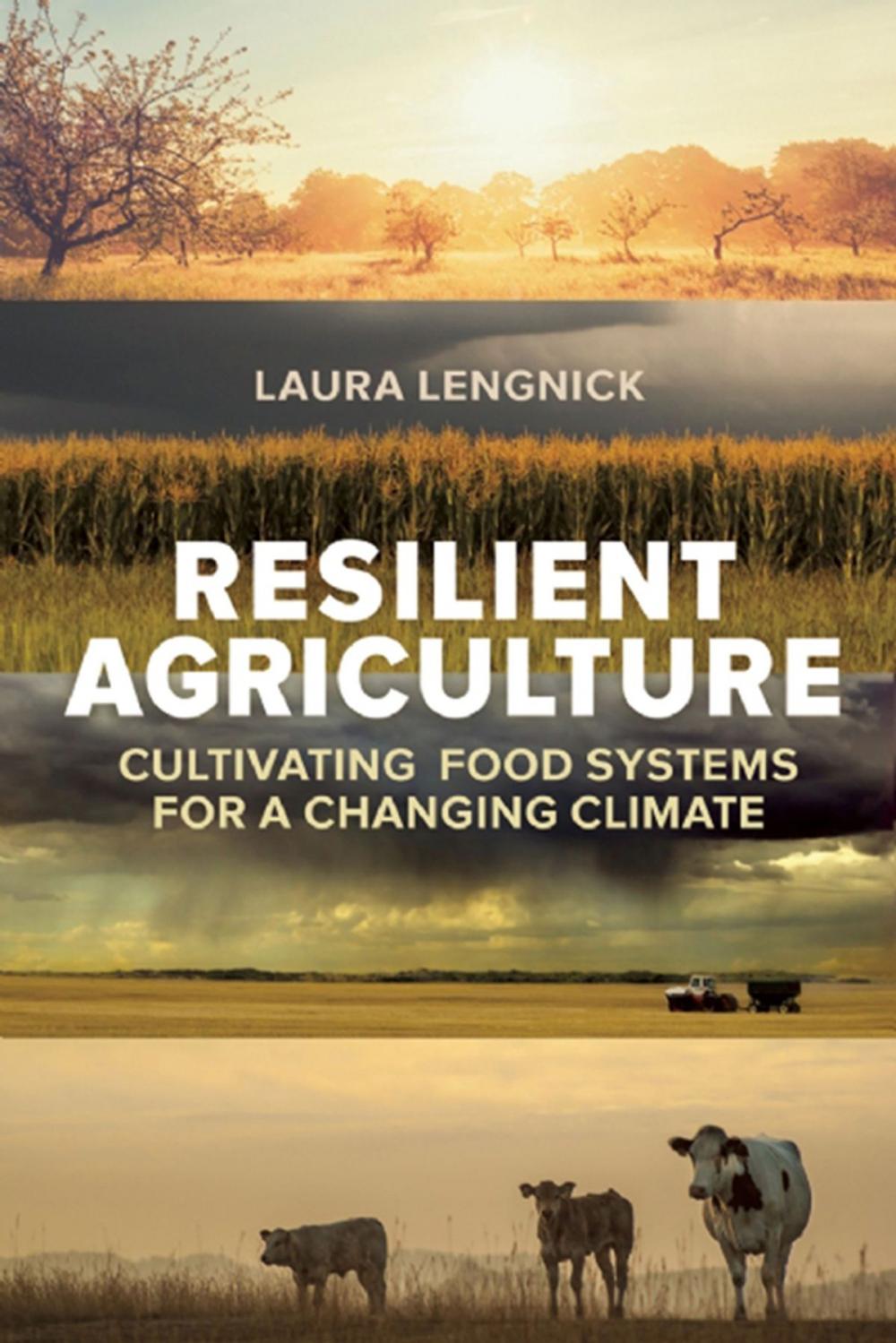 Big bigCover of Resilient Agriculture