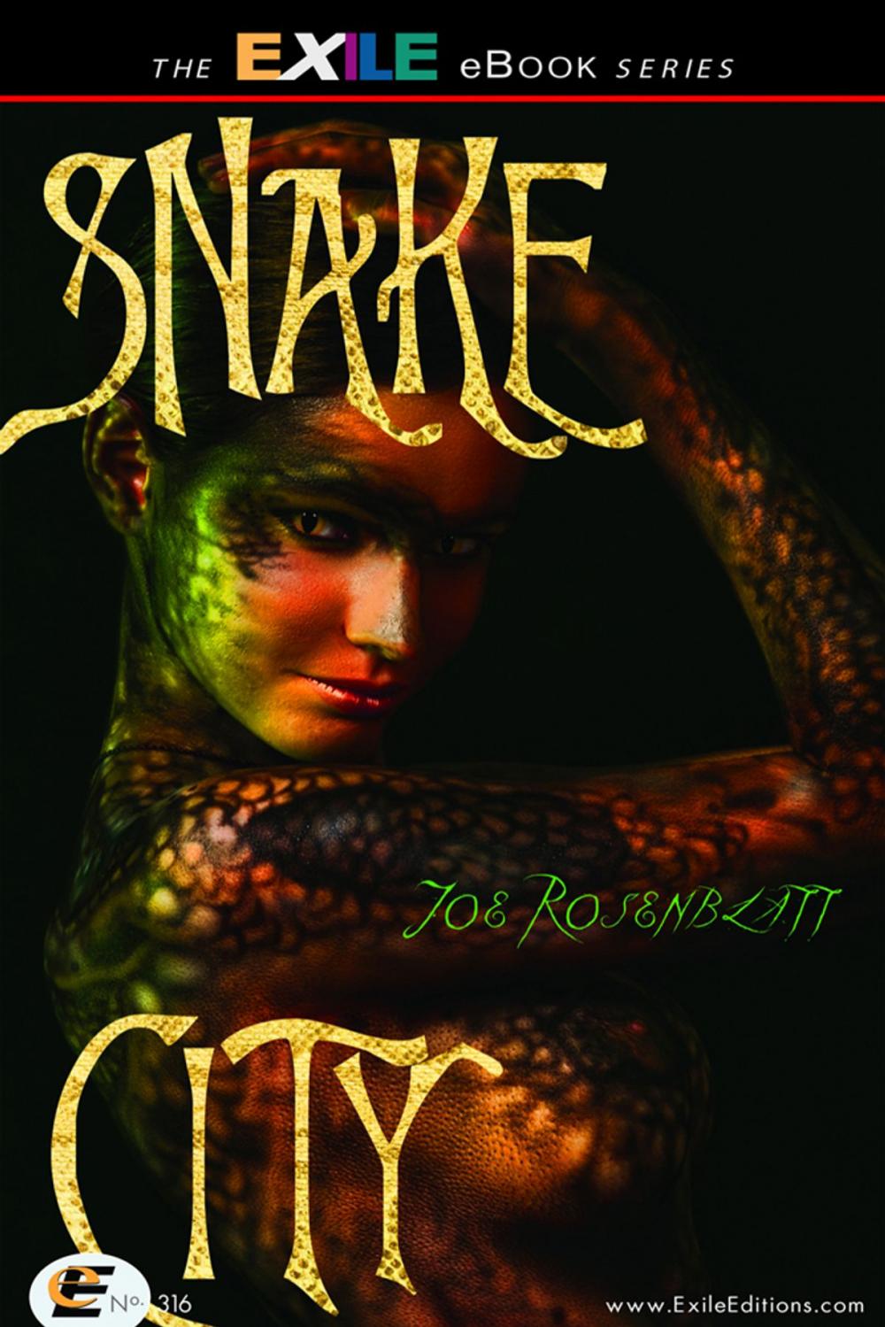 Big bigCover of Snake City