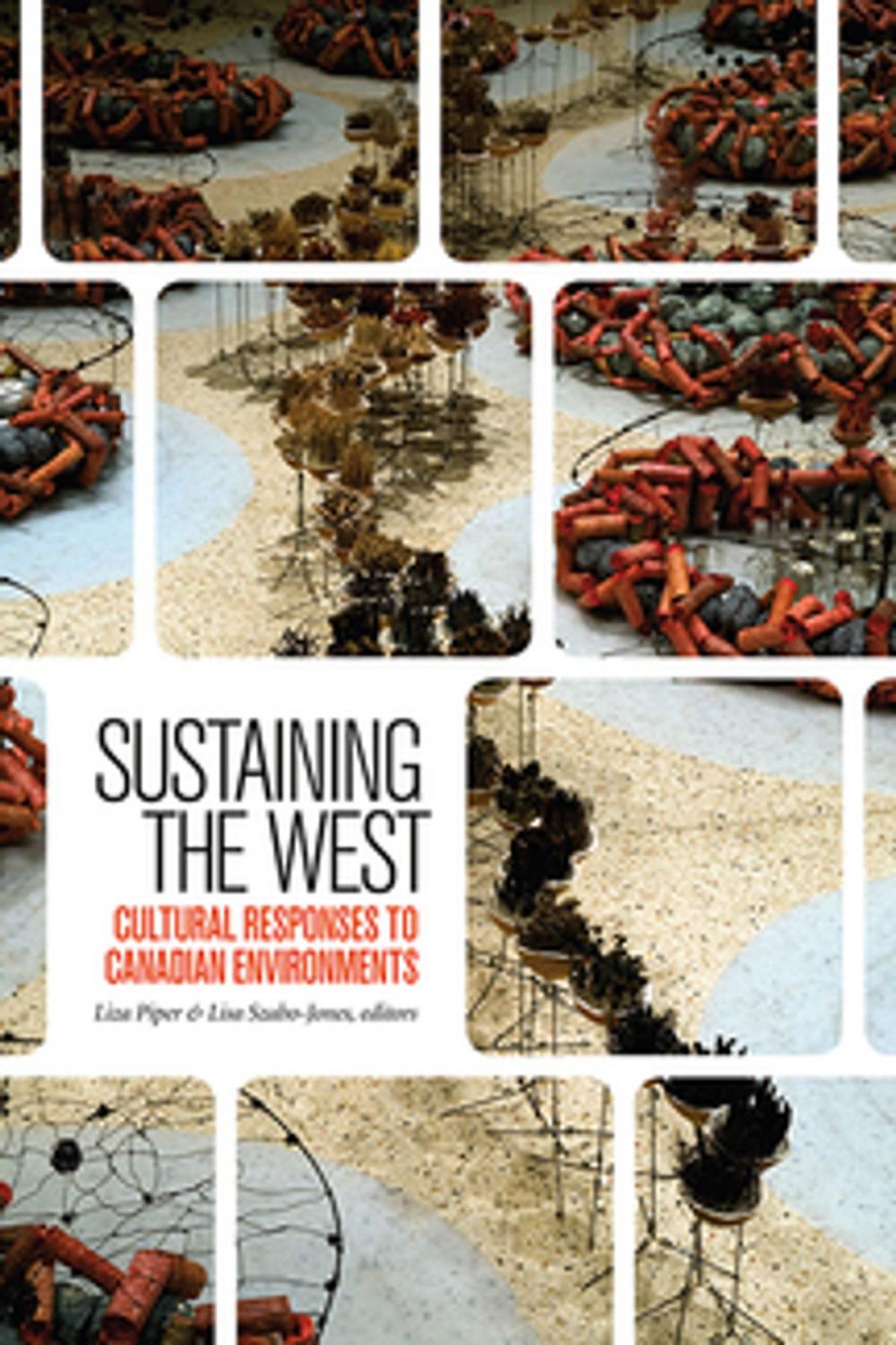 Big bigCover of Sustaining the West