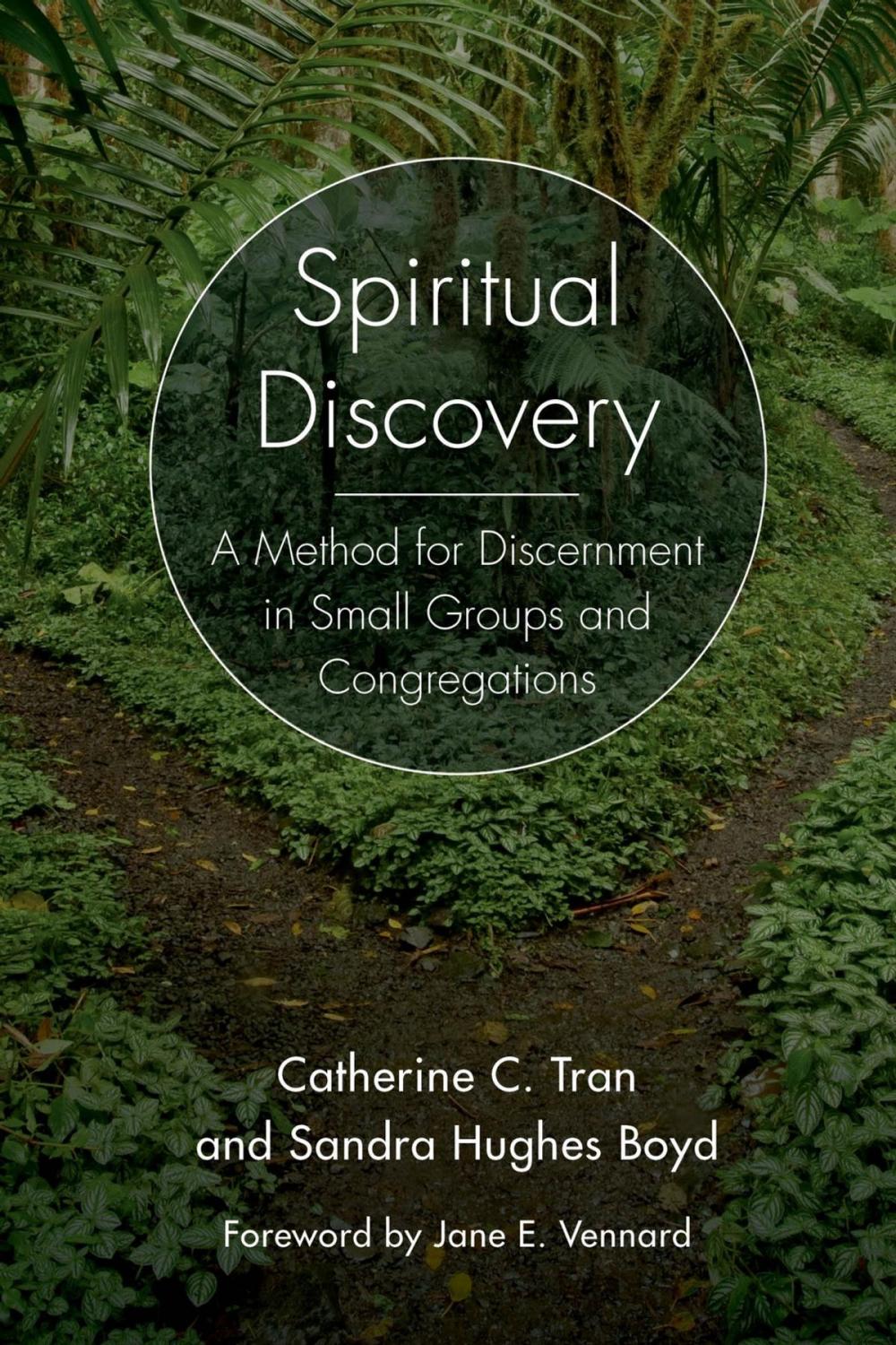 Big bigCover of Spiritual Discovery