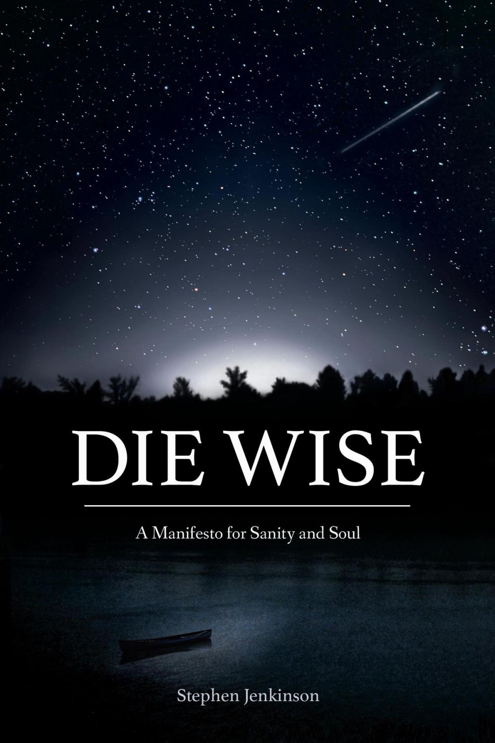 Big bigCover of Die Wise