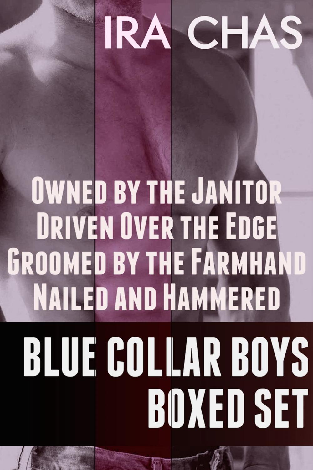 Big bigCover of Blue Collar Boys Boxed Set