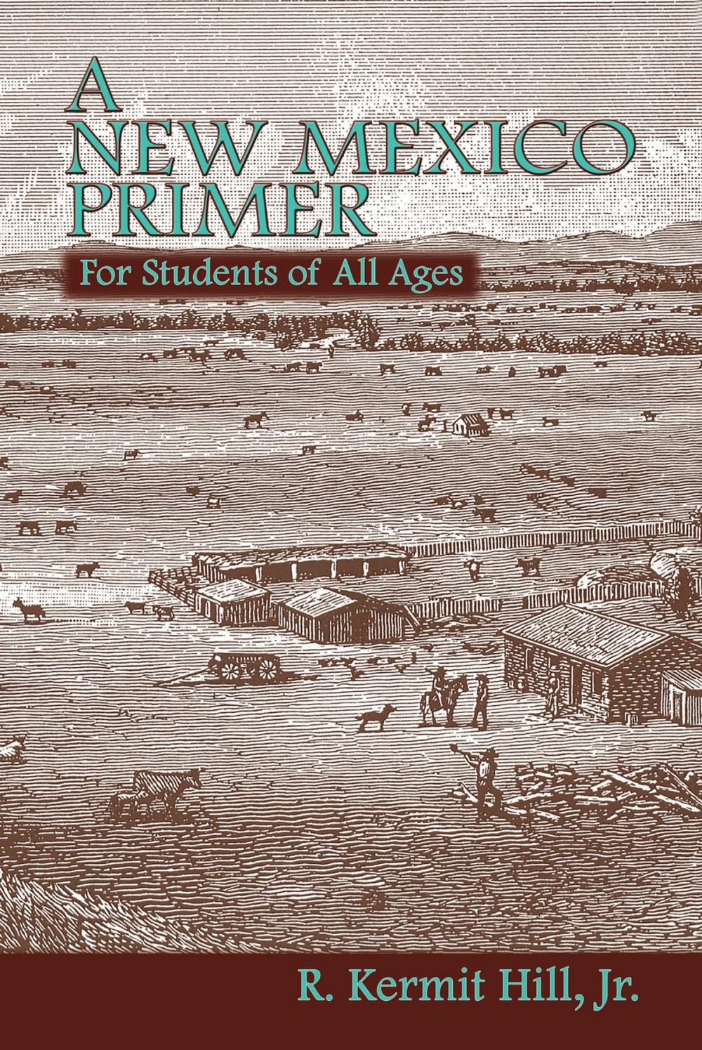 Big bigCover of A New Mexico Primer