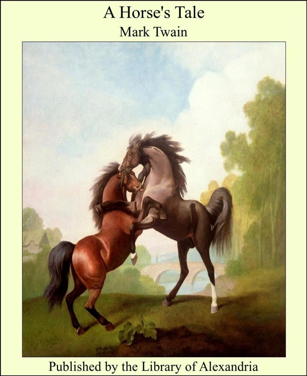 Big bigCover of A Horse's Tale