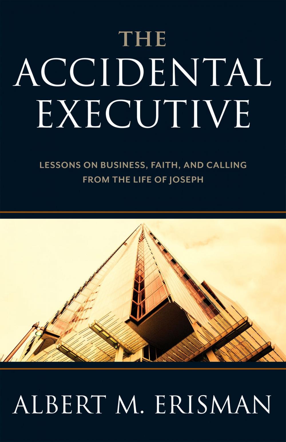 Big bigCover of The Accidental Executive