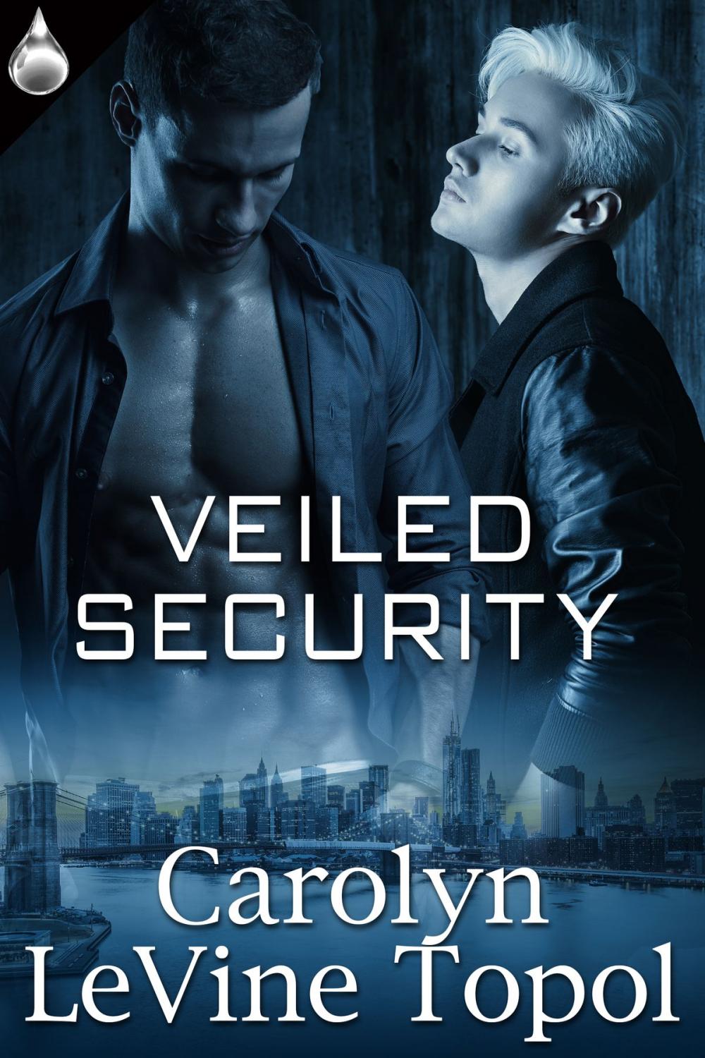 Big bigCover of Veiled Security