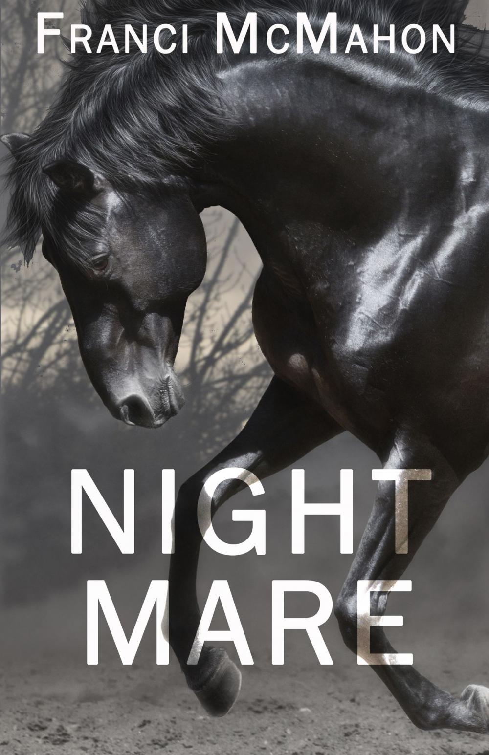 Big bigCover of Night Mare