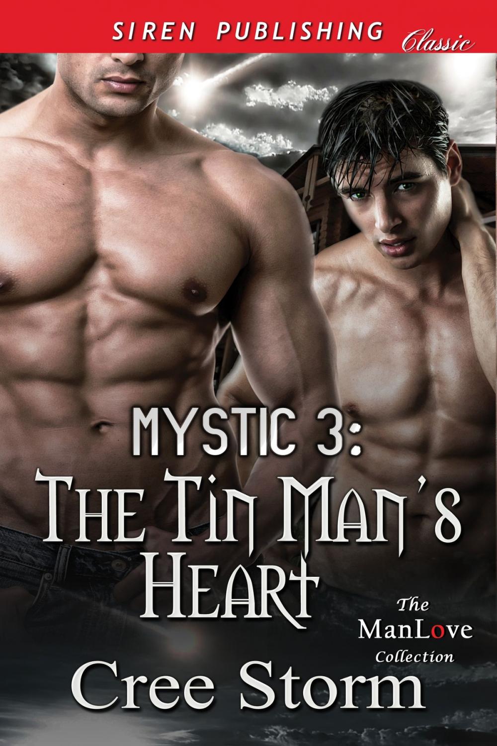 Big bigCover of MYSTIC 3: The Tin Man's Heart