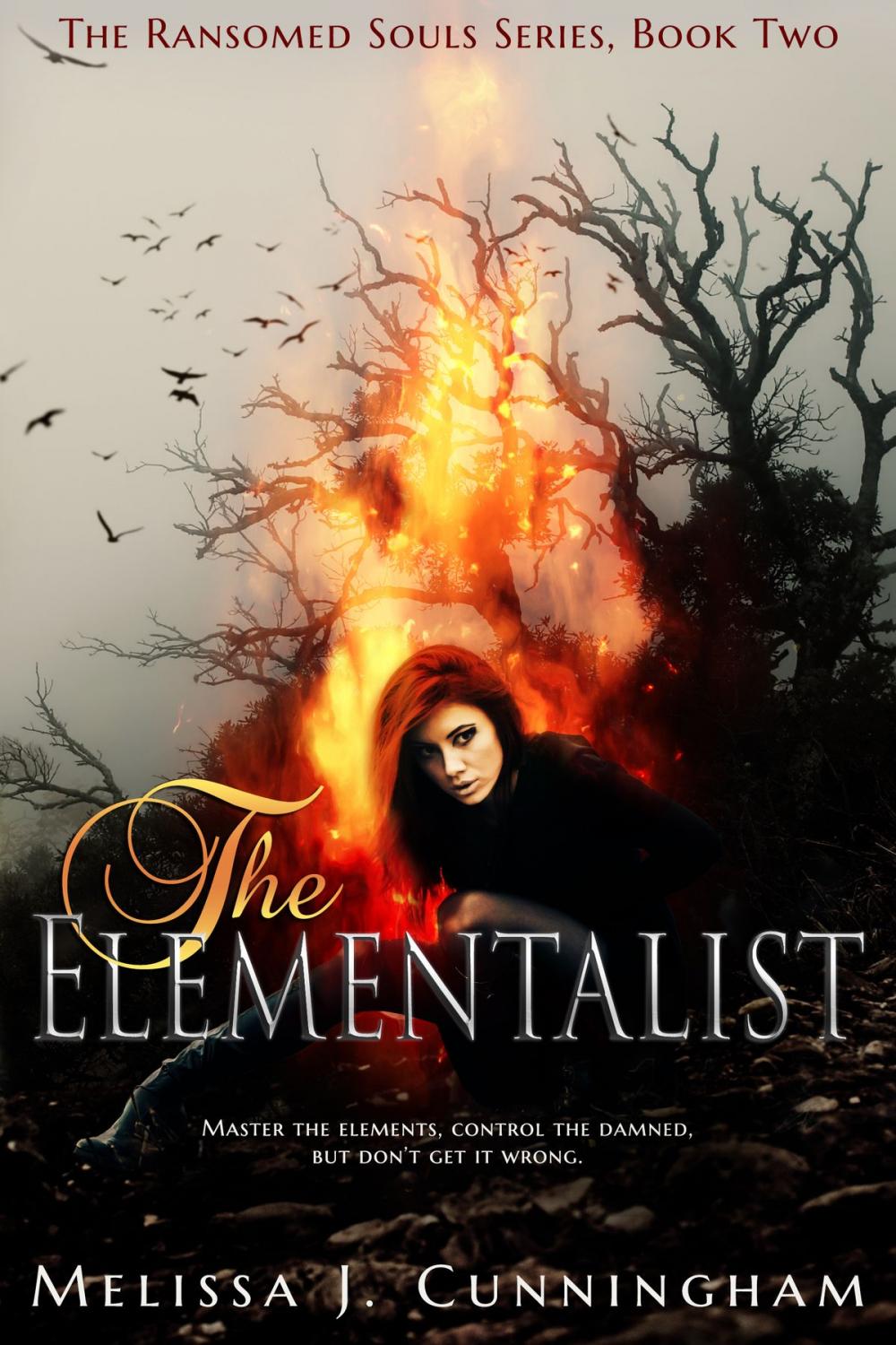 Big bigCover of The Elementalist