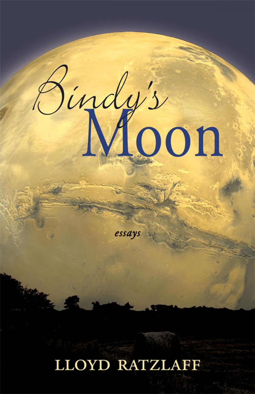 Big bigCover of Bindy's Moon